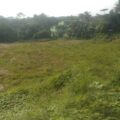 Menanti Kelanjutan Proyek 'Ambisius' Lapangan Softball Stadion Ona 