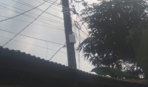 IMG-20240714-WA0014