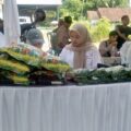 Gerai Pangan Murah di Desa Kolelet: Sejam Ludes Dibeli Warga